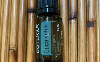 Eucalyptus Essential Oil