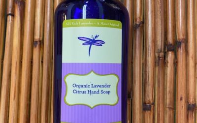 Lavender Citrus Hand Soap