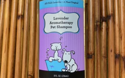 Pet Shampoo